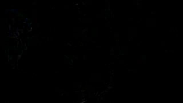 Muhammad the Greatest 6 of 12