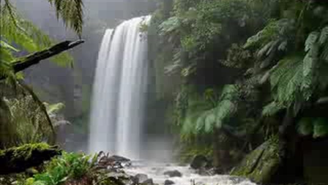 Dua by Saad Al Ghamdi part 2