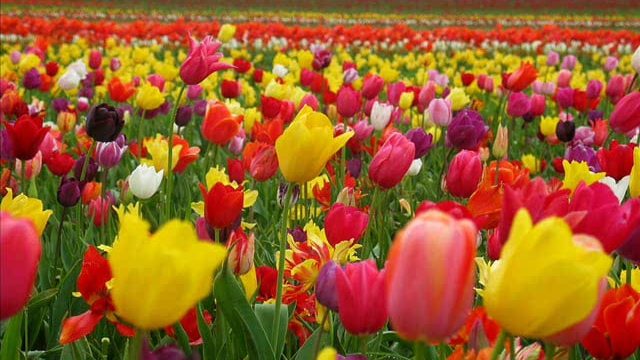 beautiful quran recitation