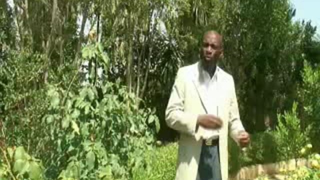 Why you should be a Muslim? [9/9]